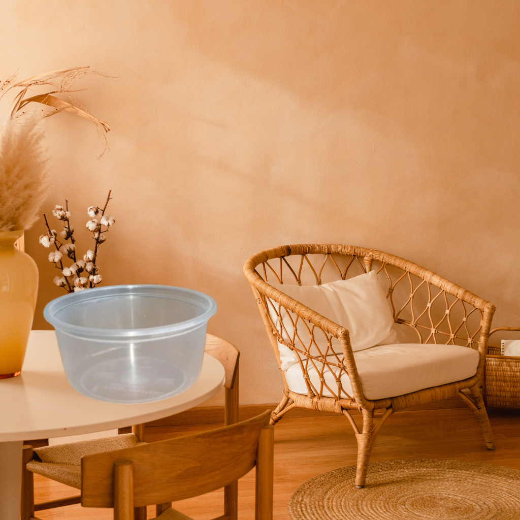 250 ml food container